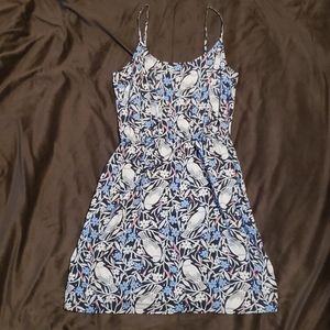 Old Navy bird and floral dress